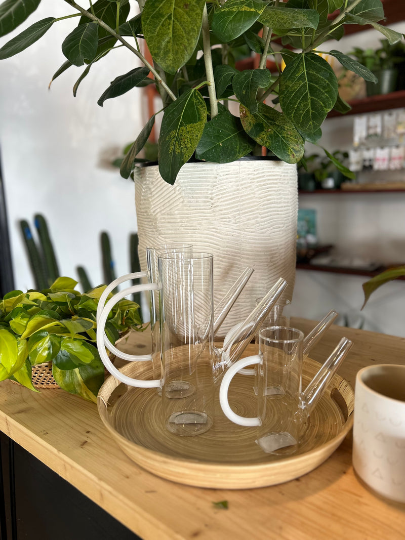Arlo Glass Watering Cans